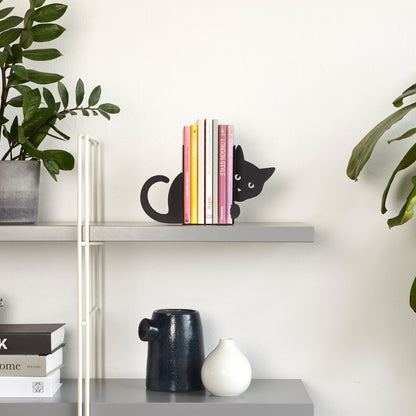Hidden Cat Bookend: the black cat holding up the colourful books on a grey shelf.