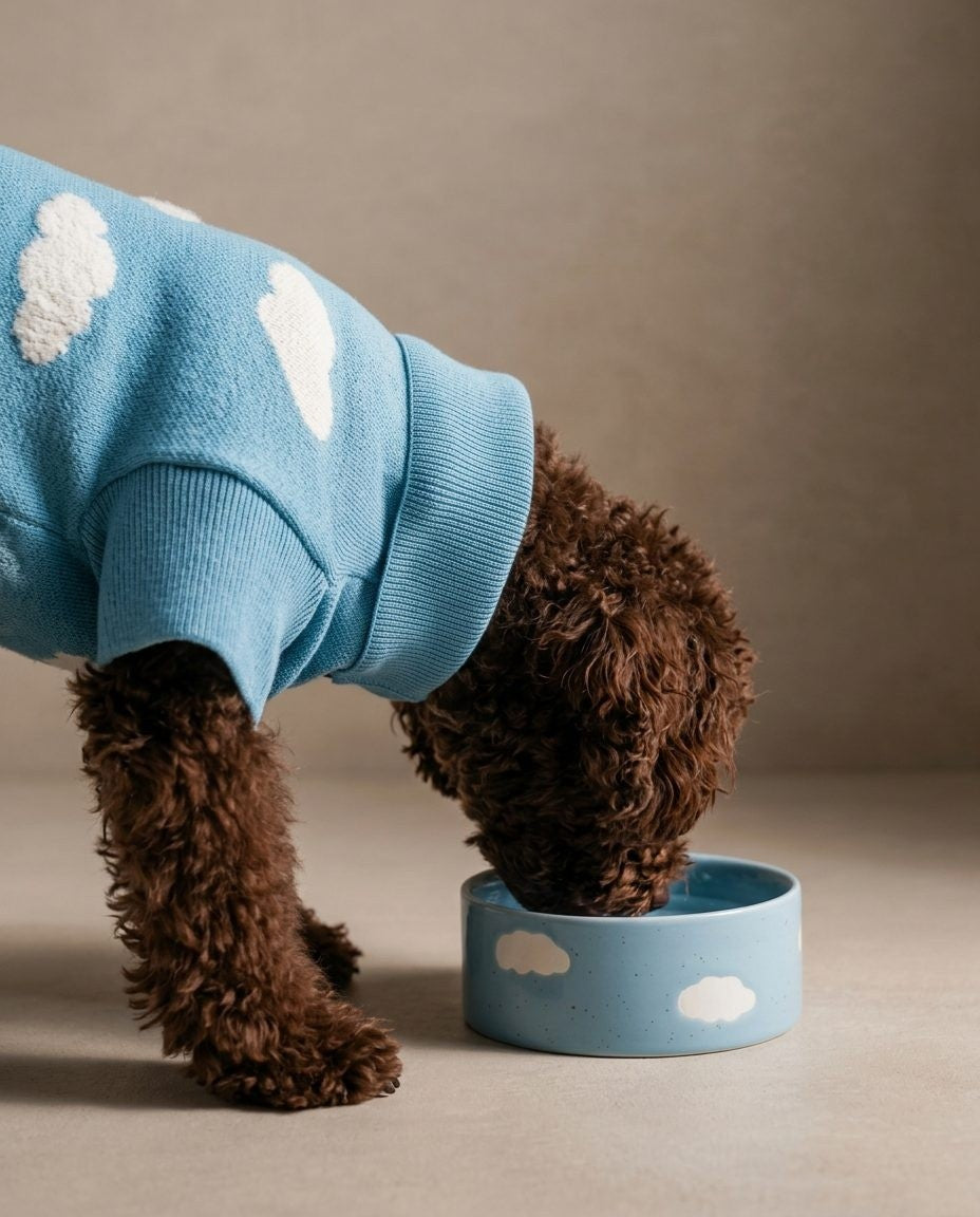 Cloud Set 2 Ciotole per Animali Grandi, foto 3