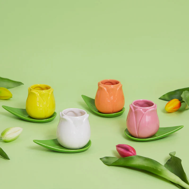 Set Tazzine Tulip Multicolore