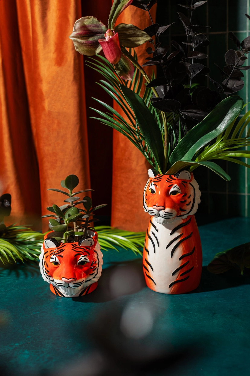 Tiger vase in two sizes holding succulents, against a teal backdrop with an orange curtain