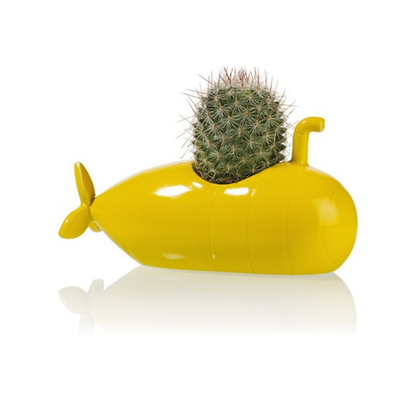 Yellow Submarine vase: a yellow submarine-shaped planter holding a small spiky cactus.