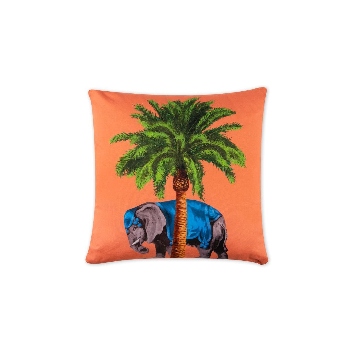 Cirque du Marrakech Cushion, photo 14