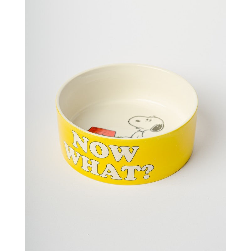 Snoopy Dog Bowl, photo 2