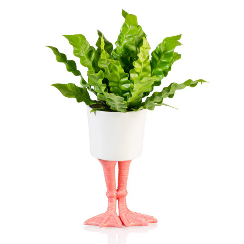 Fenicottero vase in white on pink legs, with a fern, isolated on white.