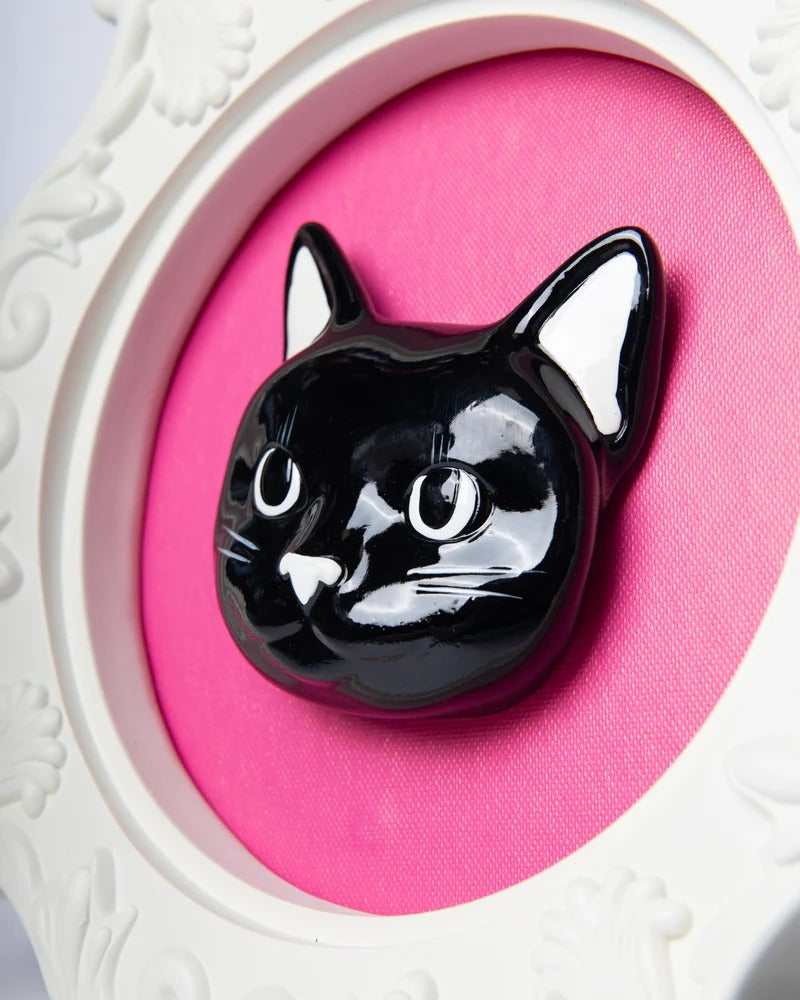 Pippo Frame, photo 14