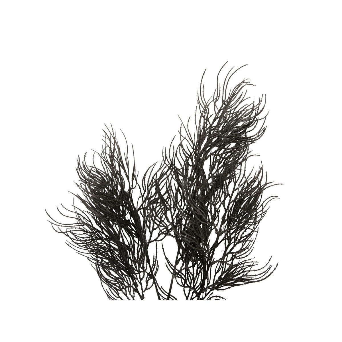Black Artificial Asparagus Fern Branch, photo 2
