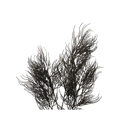 Black Artificial Asparagus Fern Branch, photo 2