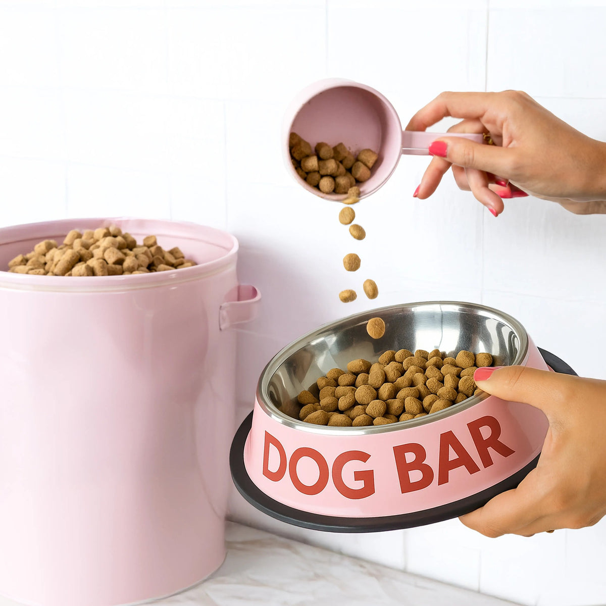 Dog Bar Dog Bowls, photo 6