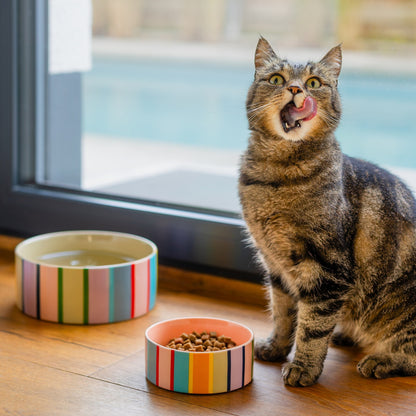 Titus Pet Bowl, photo 8