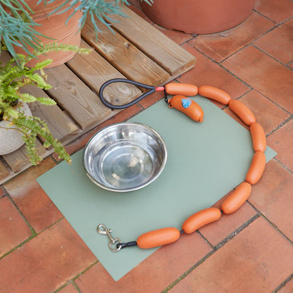 Hot Dog dog leash resting on a green mat beside a water bowl and terracotta plant pots.