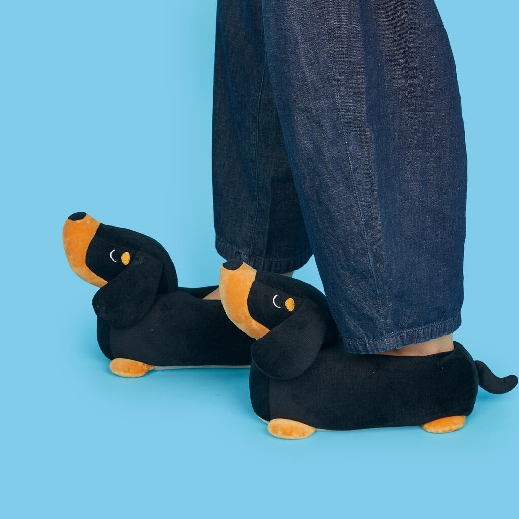 Dachshund Slippers, photo 54