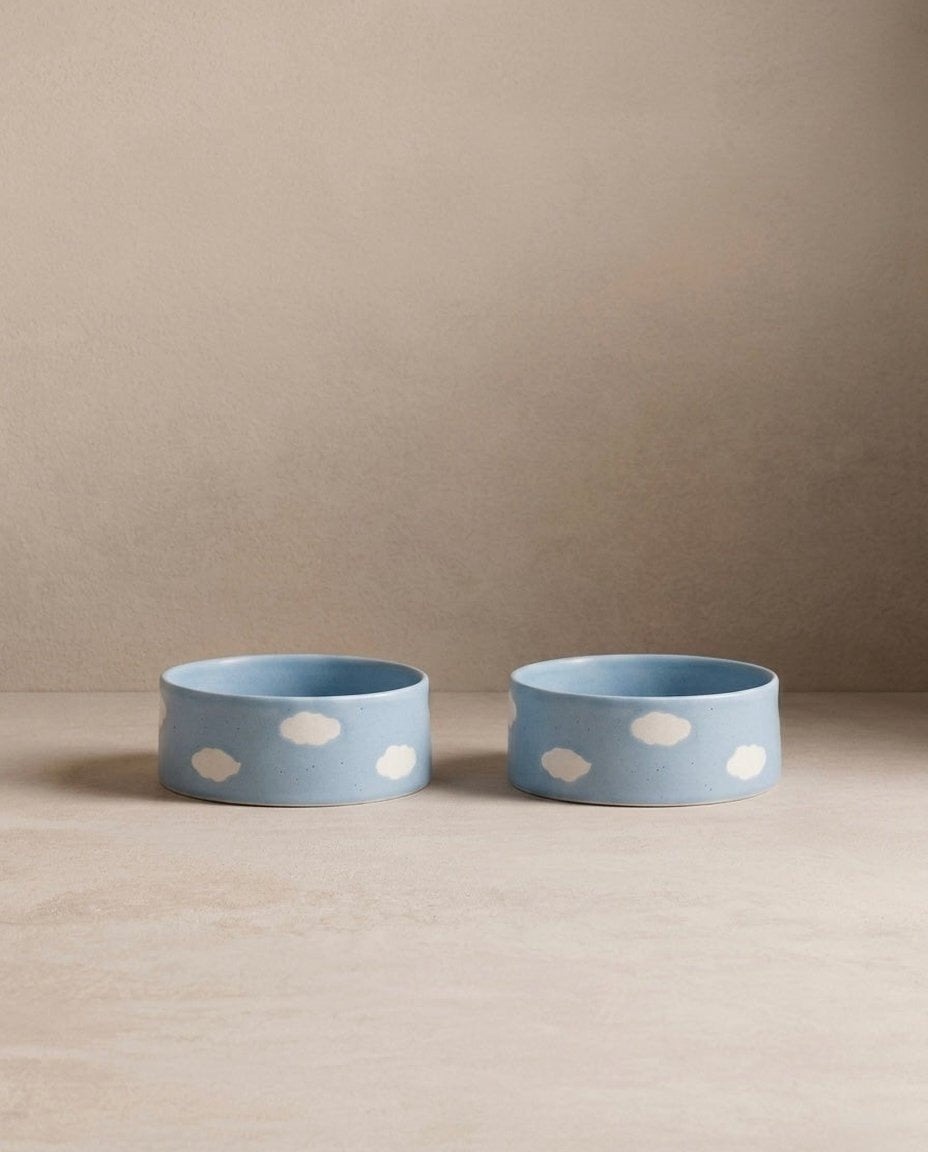 Cloud Set of 2 Small Pet Bowls - Strabello Design