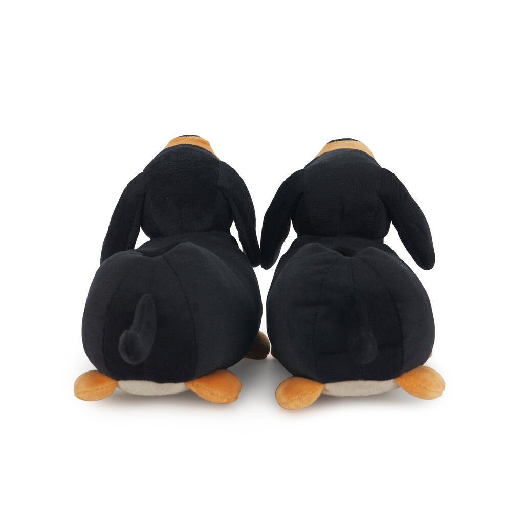 Dachshund Slippers, photo 51