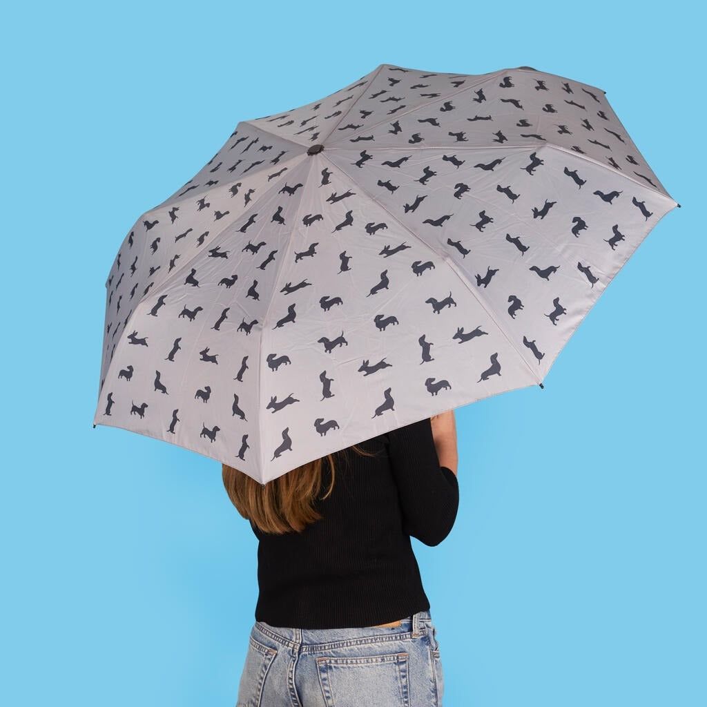 Christmas Dachshund Umbrella, photo 12