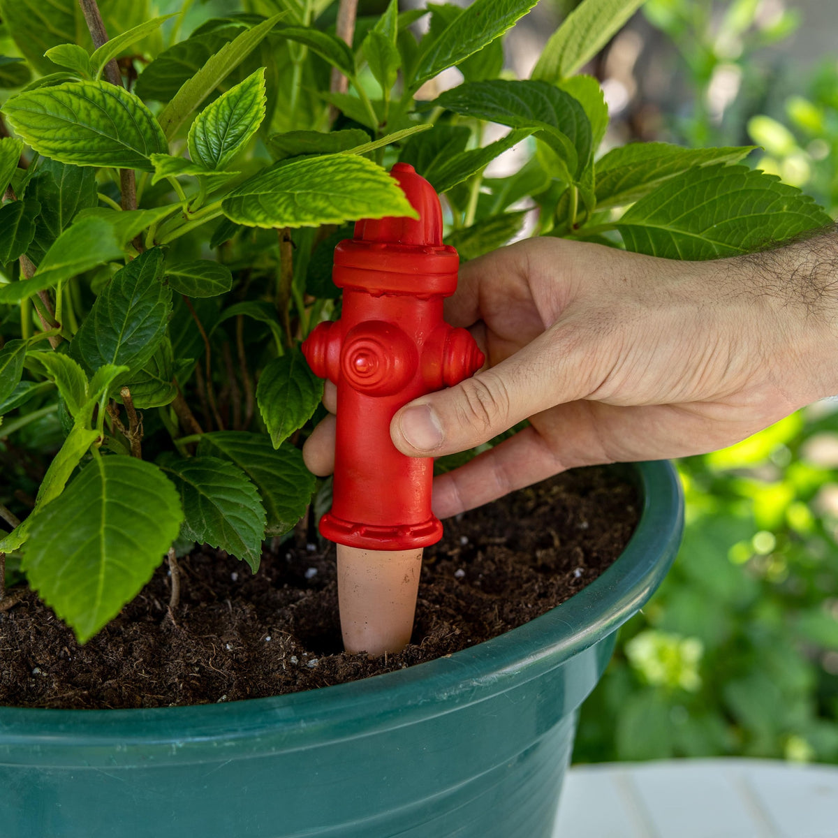 Fire Hydrant Plant Waterer, photo 4