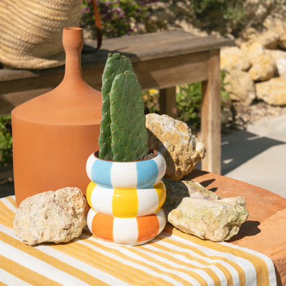 Float flower vase with a cactus, outdoors among rocks and a terracotta jug
