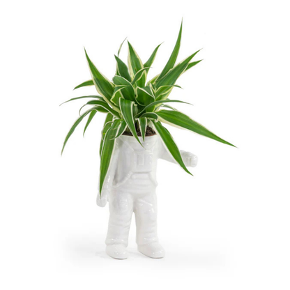 Vaso Astronauta: a white ceramic astronaut figure used as a planter, holding a green plant with long leaves.