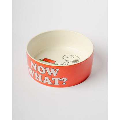 Snoopy Dog Bowl, photo 6