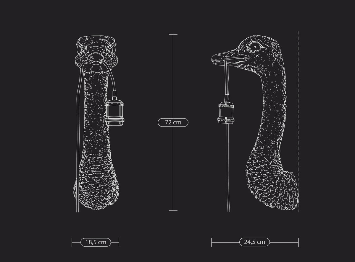 Franz Josef Ostrich Wall Lamp, photo 12