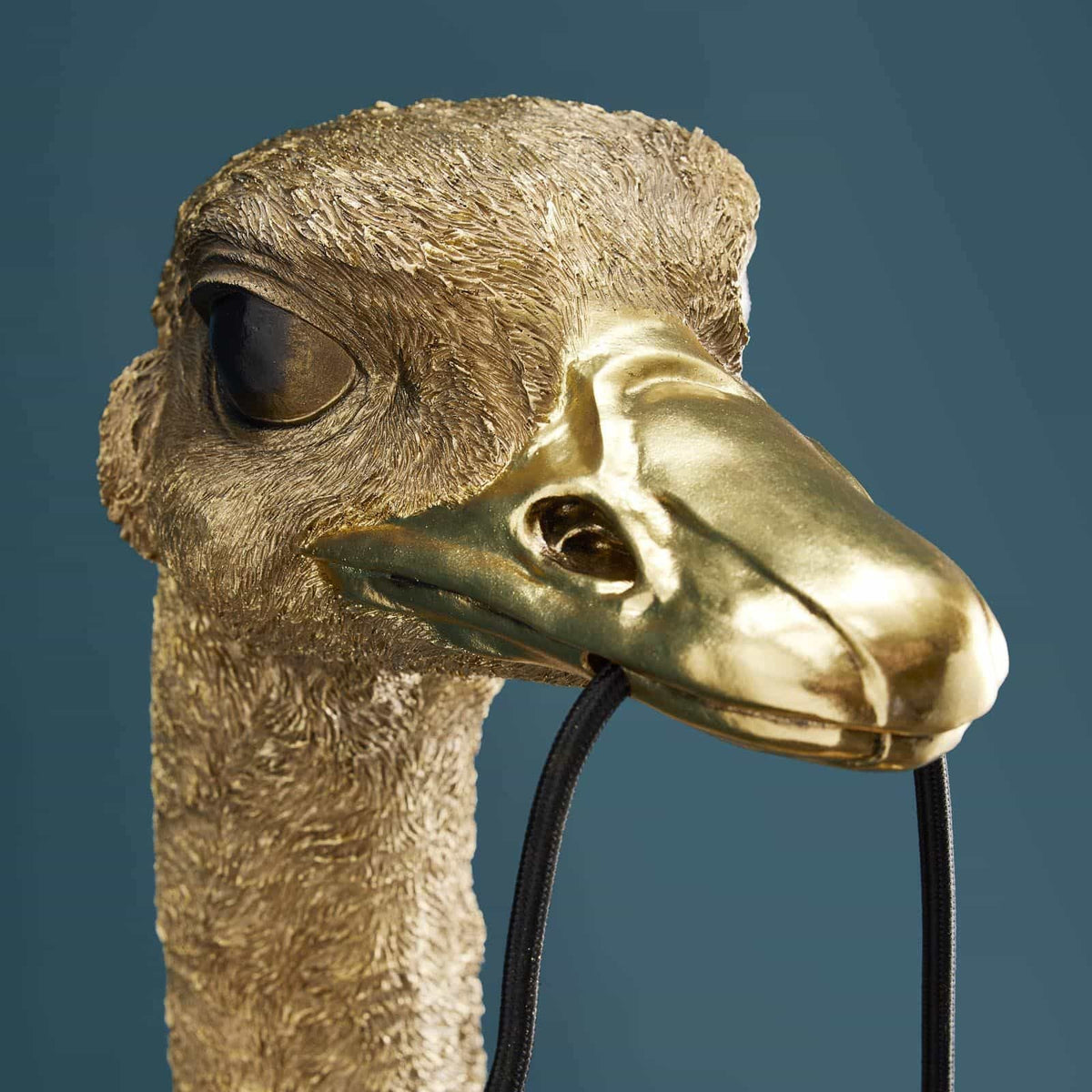 Franz Josef Ostrich Wall Lamp, photo 6