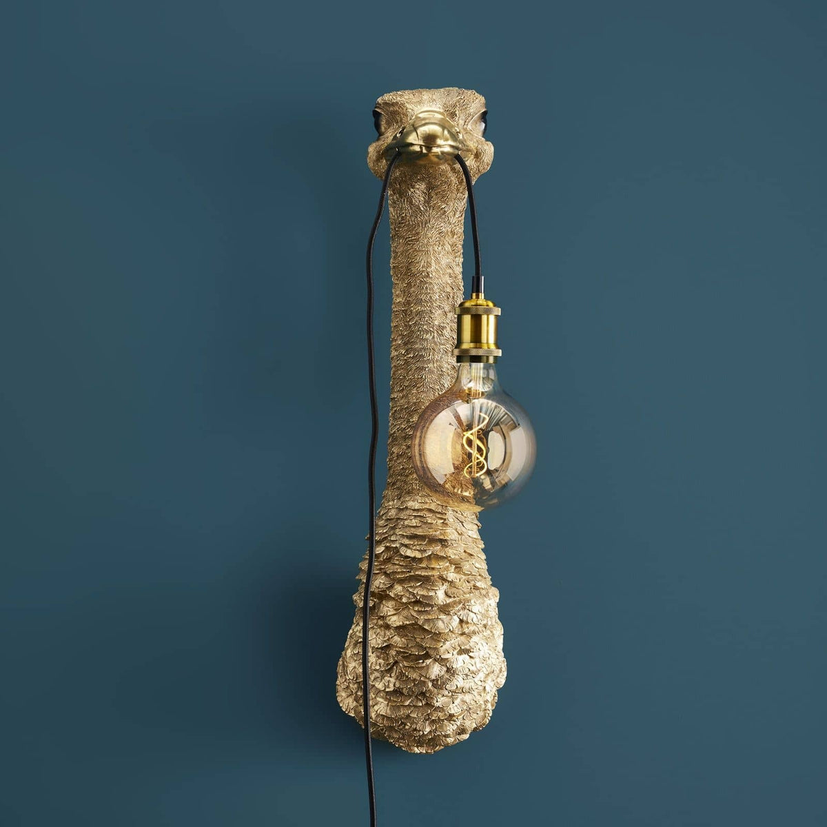 Franz Josef Ostrich Wall Lamp, photo 2