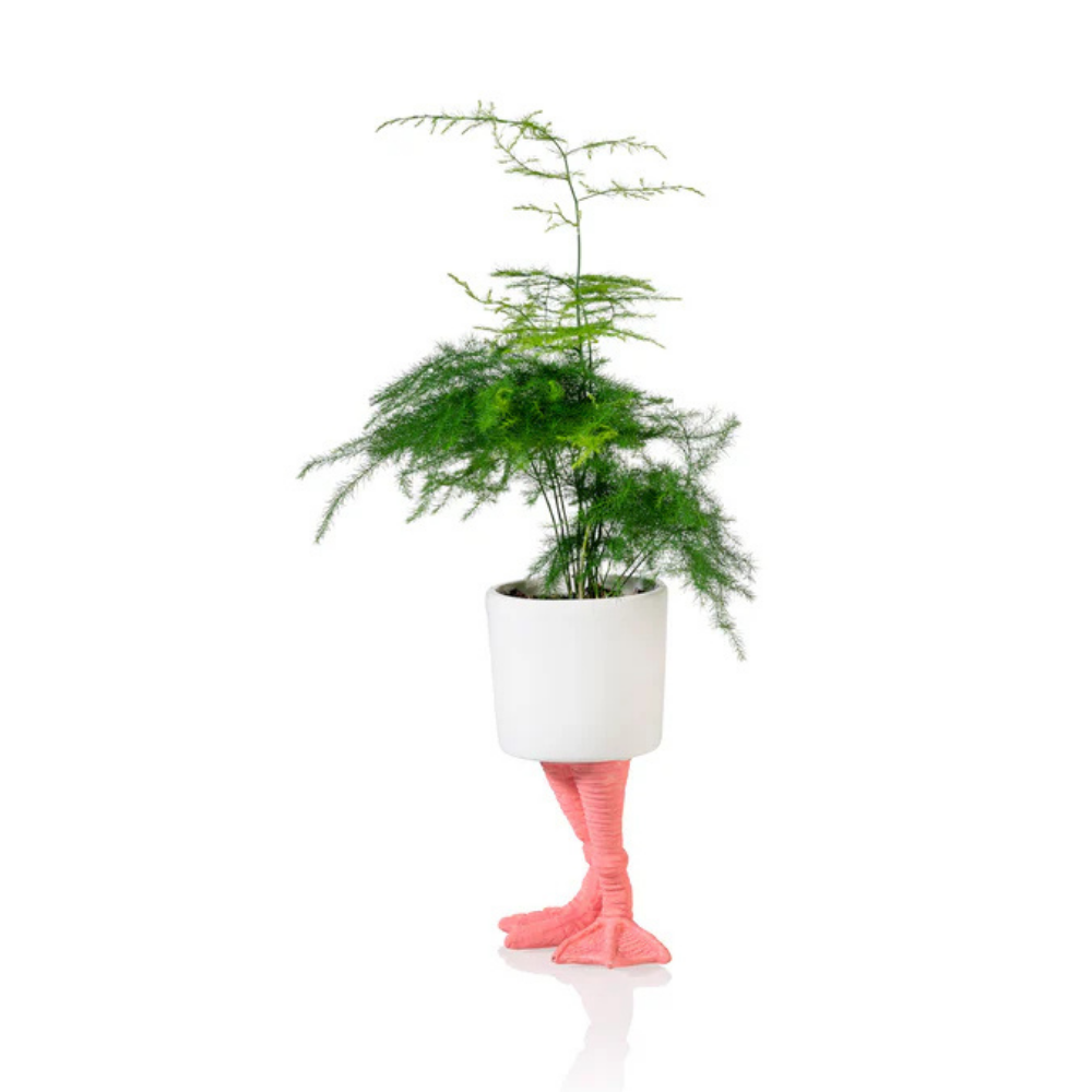 Fenicottero vase in white on pink legs, with a fern, isolated on a white background.