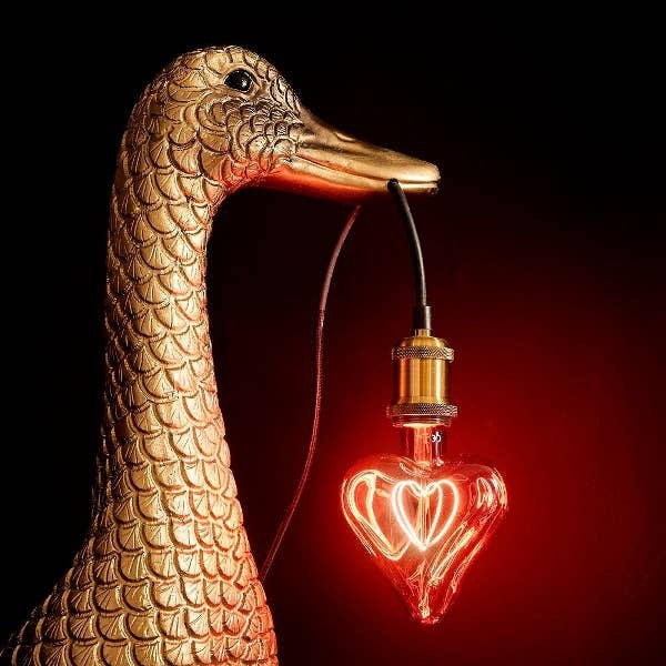 Ducky Lampada da Terra Anatra, foto 2