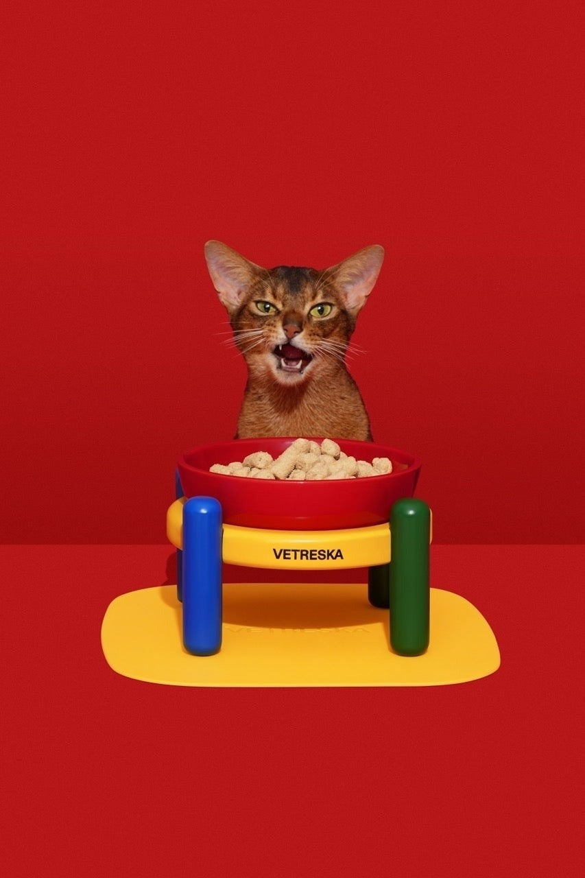 Chroma Pet Bowl with Stand and Mat, photo 4