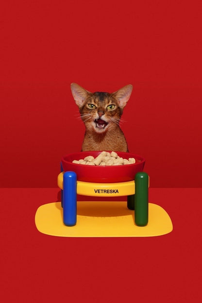 Chroma Pet Bowl with Stand and Mat, photo 4