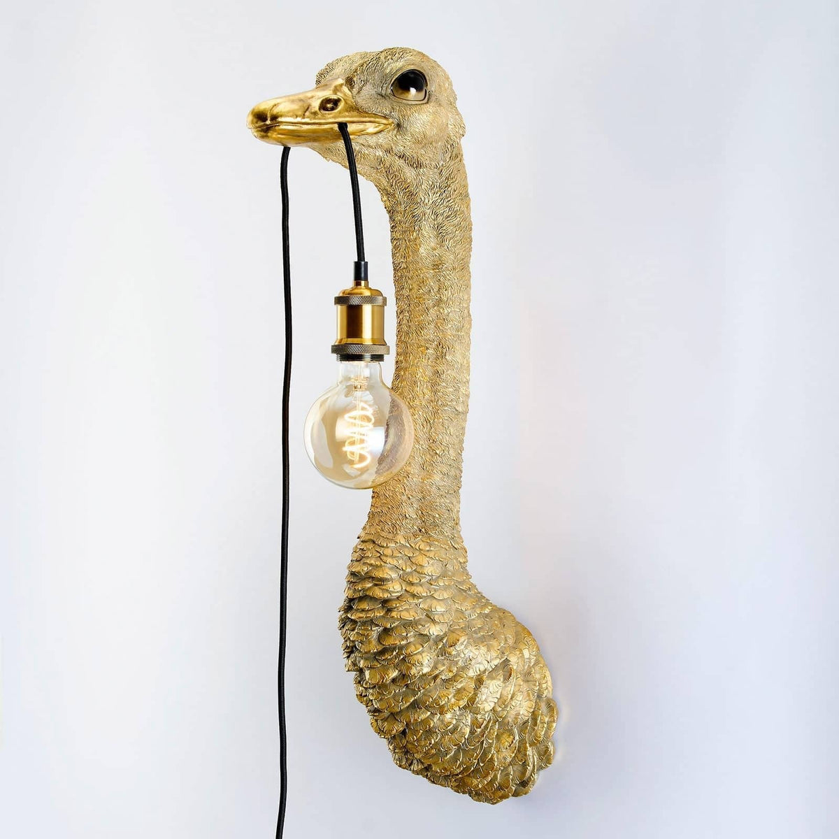 Franz Josef Ostrich Wall Lamp - Strabello Design