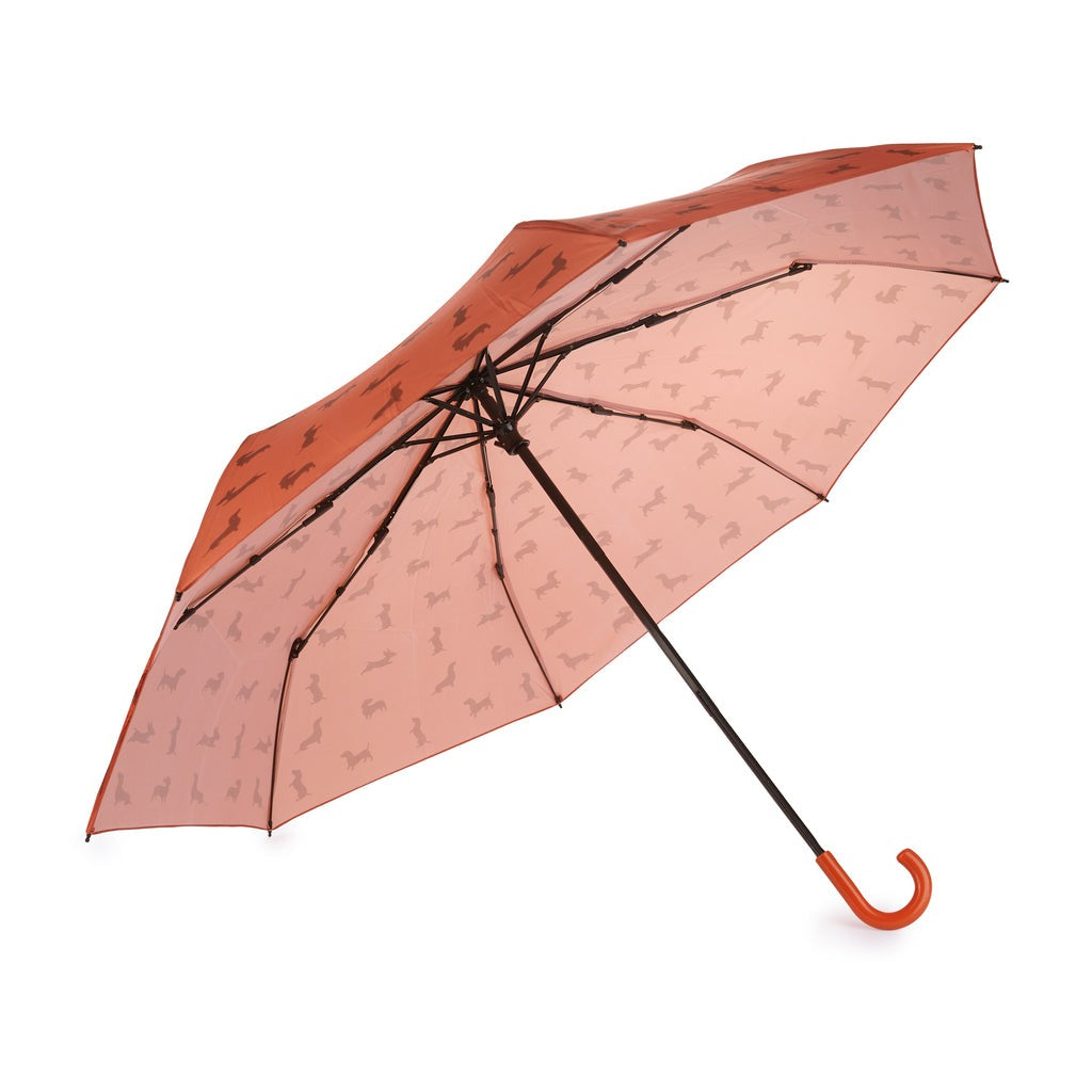 Dachshund Umbrella, photo 4