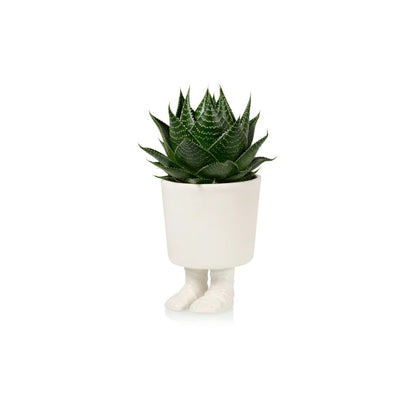 Gladiator Sandal Vase, photo 2