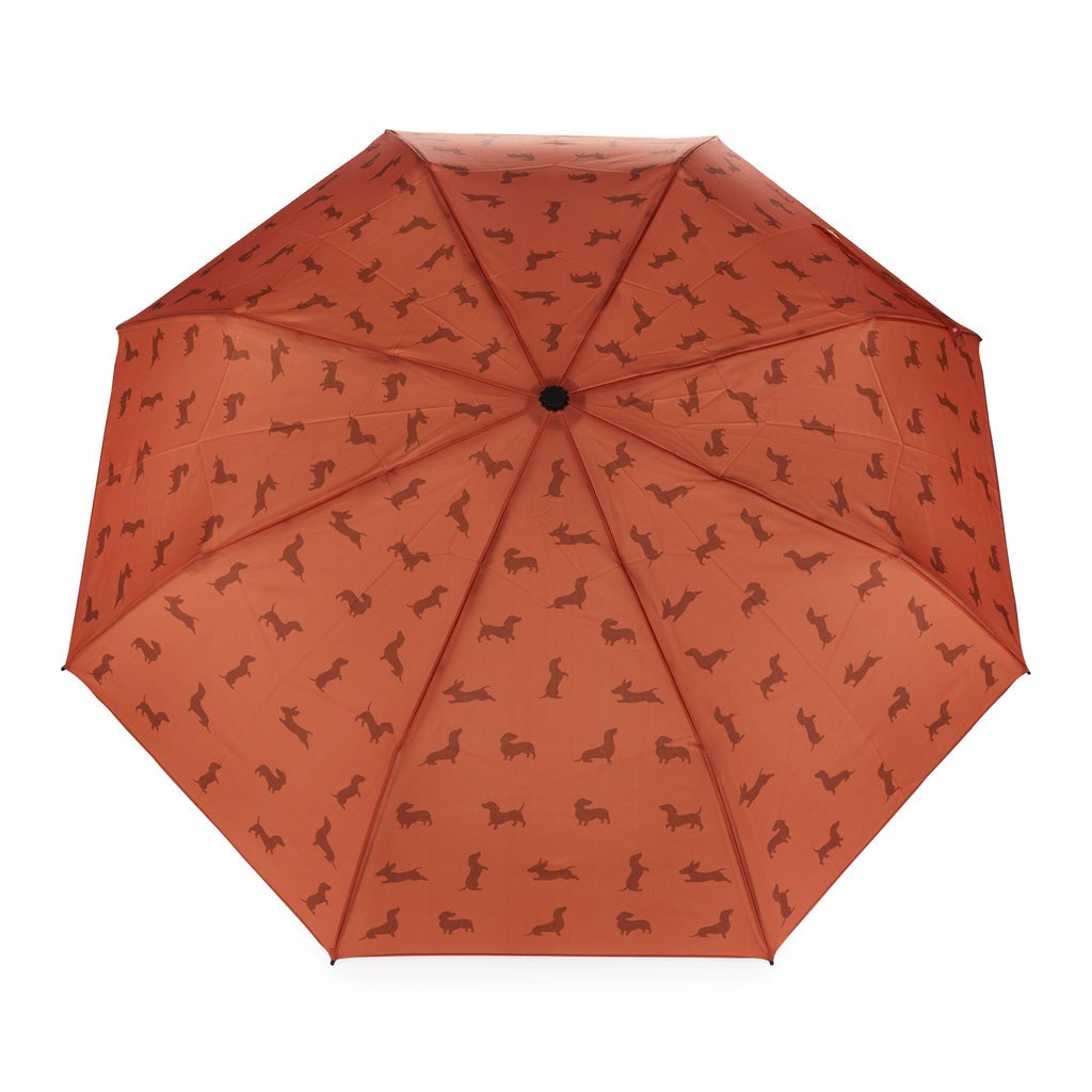 Dachshund Umbrella, photo 5