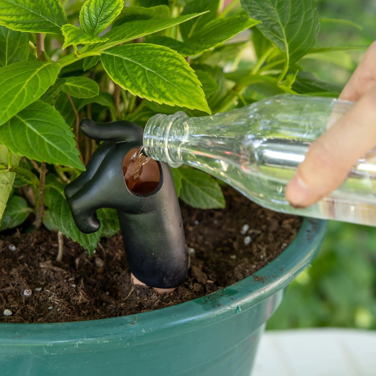 Black Dog Plant Waterer, photo 5