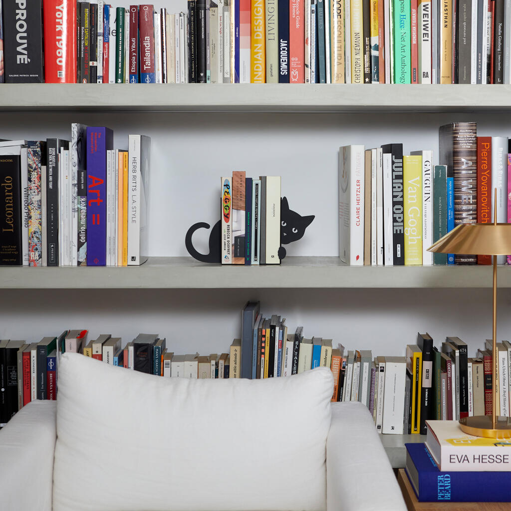 Hidden Cat Bookend: the black cat-shaped bookend among the books on a shelf.